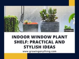 Indoor Window Plant Shelf