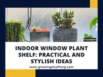 Indoor Window Plant Shelf