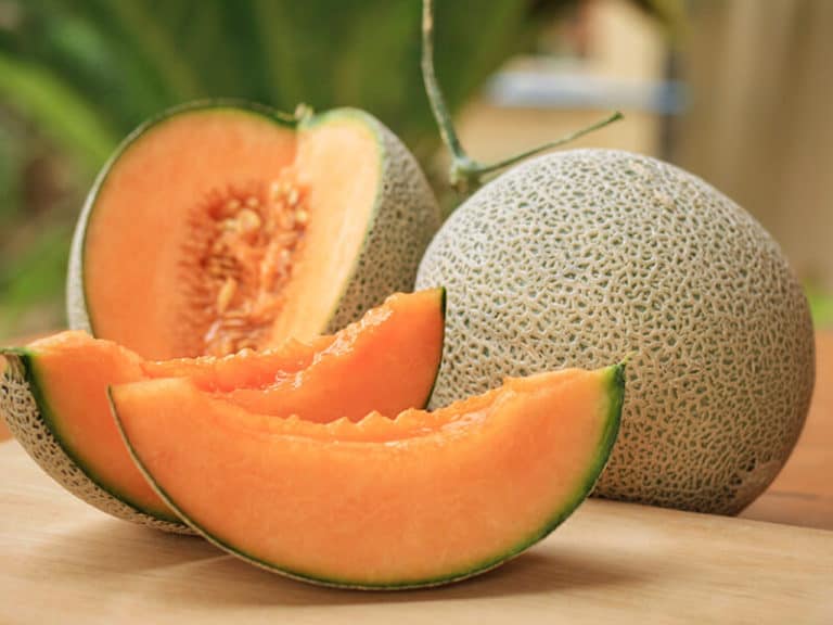 Muskmelon VS Cantaloupe What is The Difference, Which One Is Better?