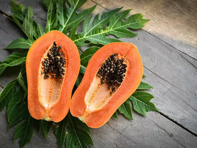 Papaya Fruit