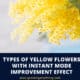 Types Of Yellow Flowers