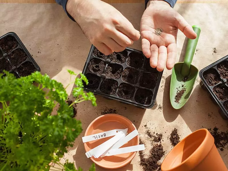 Gardening Planting