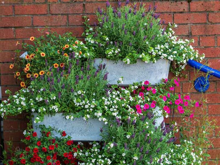 13 Galvanized Metal Planters Ideas For Stunning Garden 2024