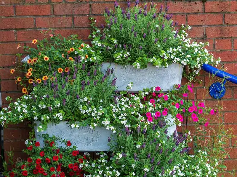 Metal Planters