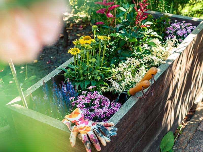 Planted Wooden Planter Containing