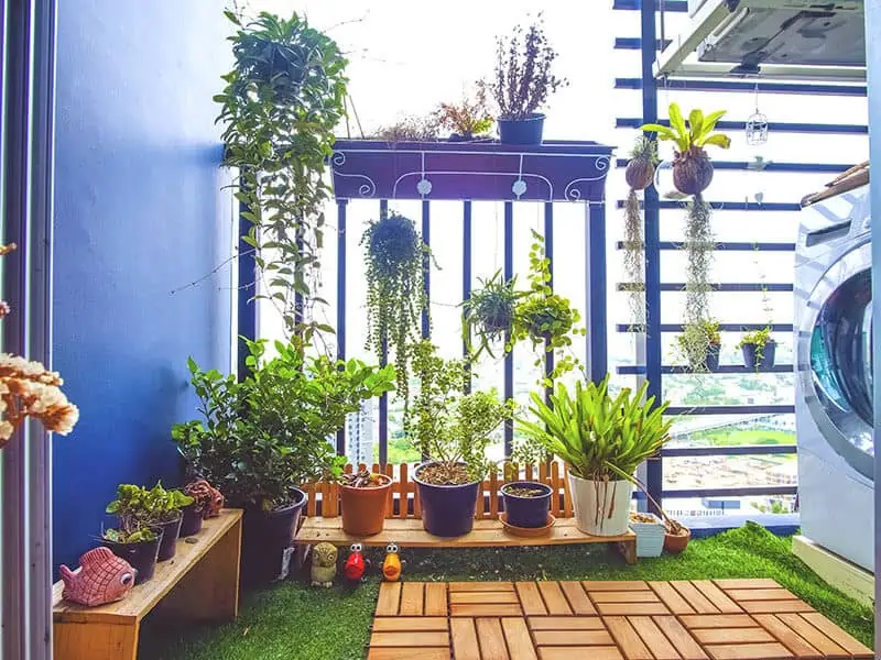 Apartment Gardens