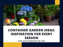 Container Garden Ideas