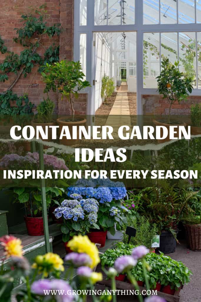 Container Garden Ideas