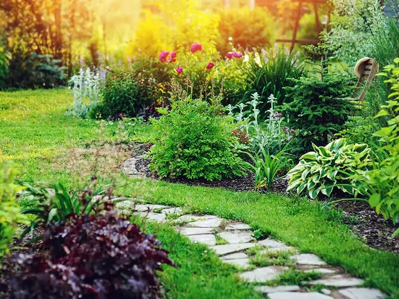 Cottage Garden