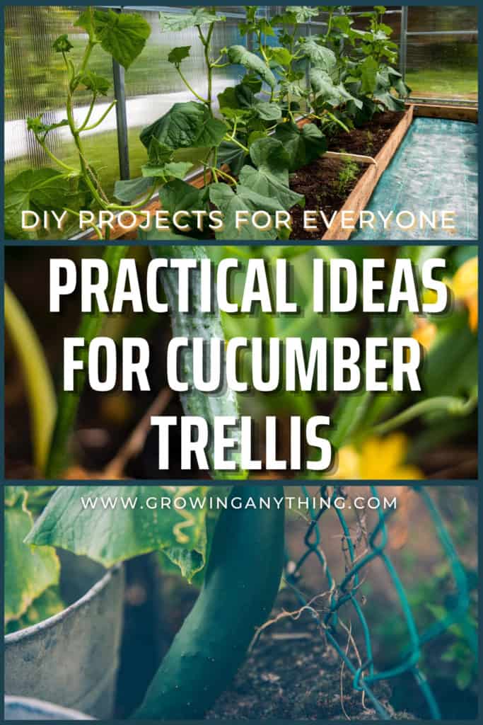 Cucumber Trellis Ideas