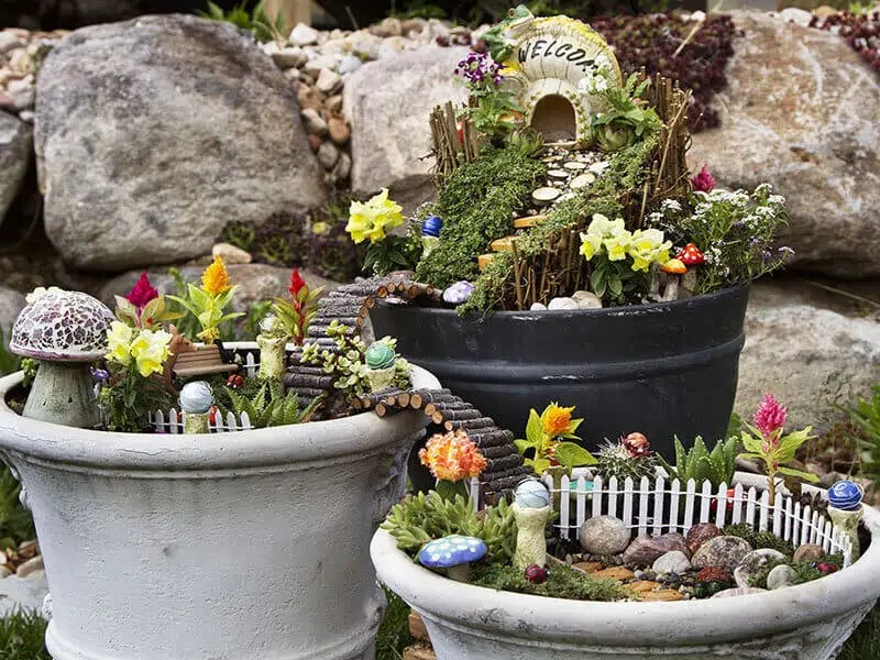 Fairy Gardens