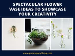 Flower Vase Ideas
