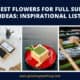 Flowers For Full Sun Ideas