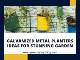 Galvanized Metal Planters Ideas