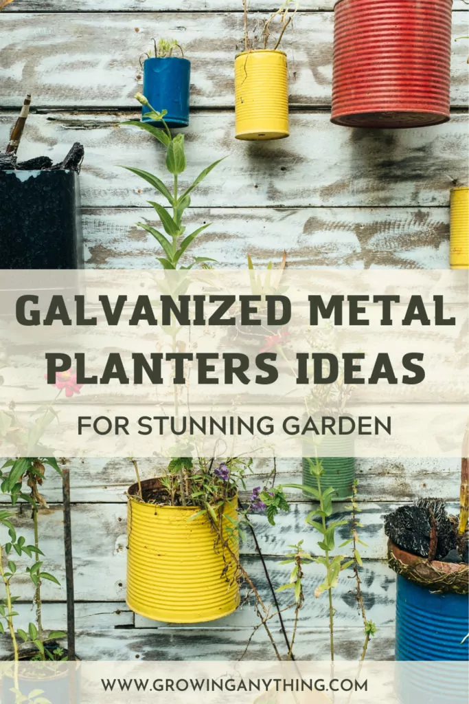 Galvanized Metal Planters Ideas