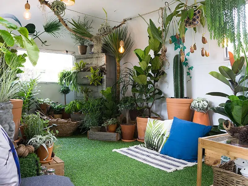 Indoor Gardens