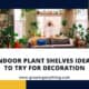 Indoor Plant Shelves Ideas