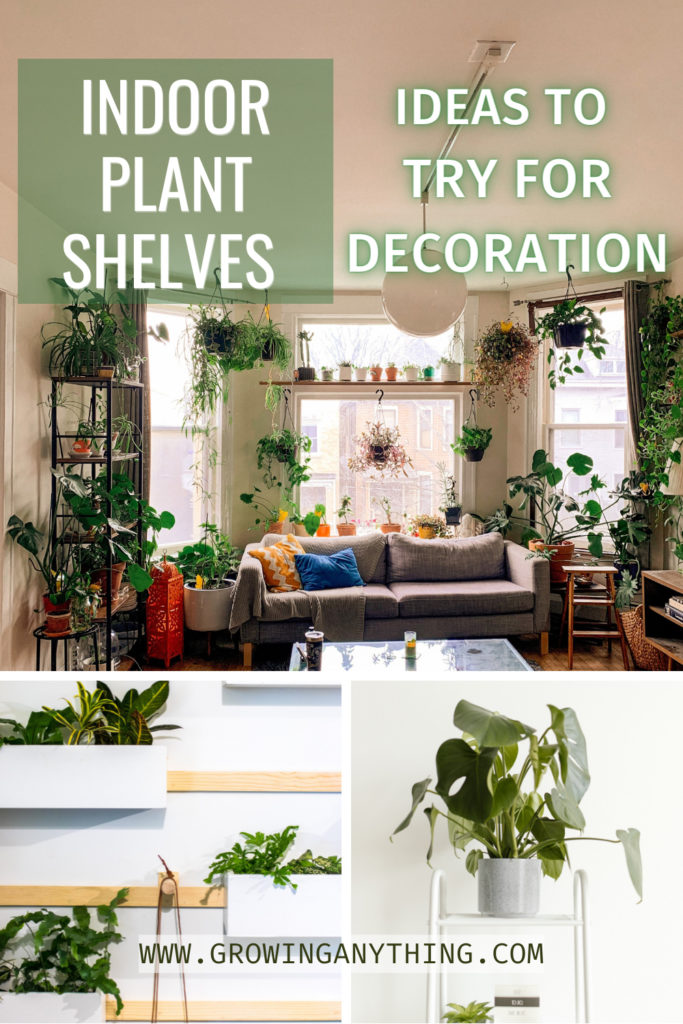 Indoor Plant Shelves Ideas