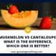 Muskmelon Vs Cantaloupe