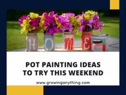 Pot Painting Ideas