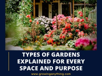 Types Of Gardens
