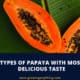 Types Of Papaya