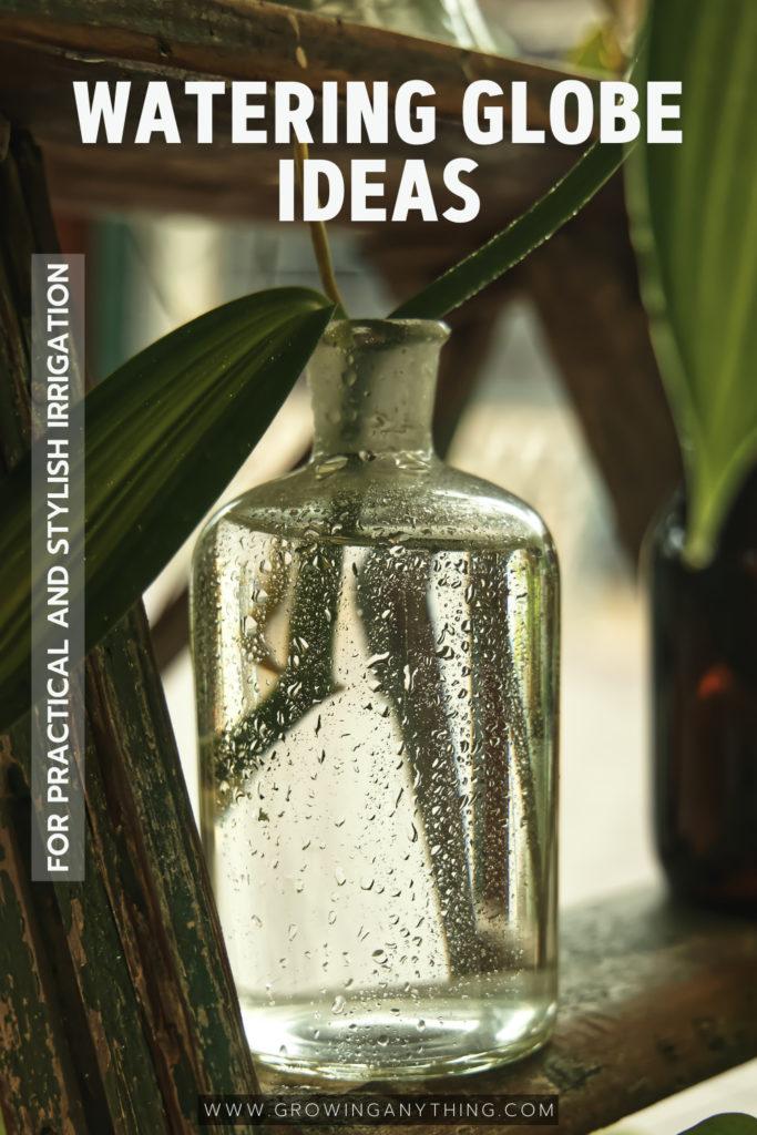 Watering Globe Ideas