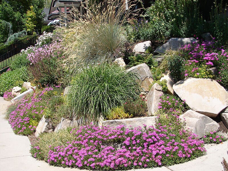 Xeriscape Gardens