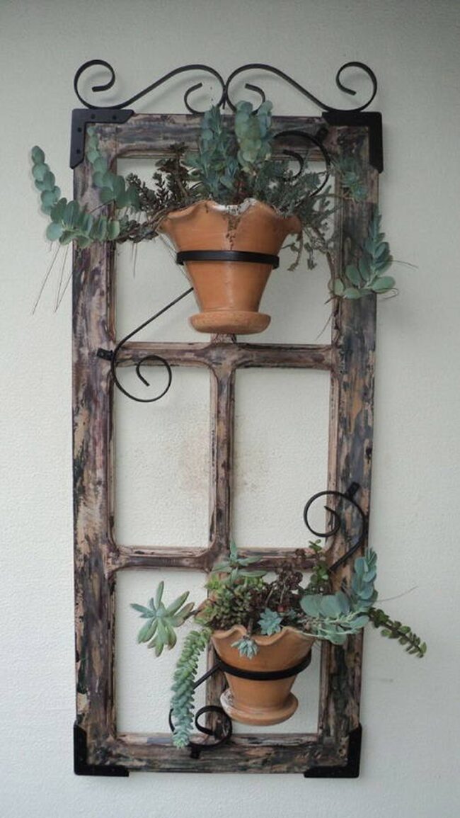 Vintage Window Succulent Display