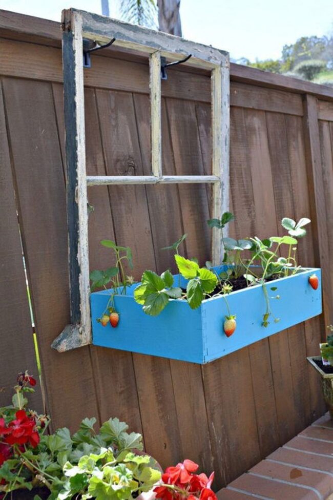 Vintage Window Garden Box