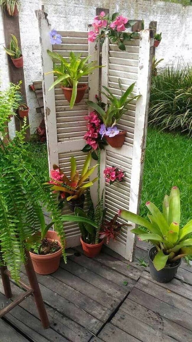 Shutters Transformed Garden Display