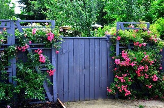 Rose Pallet Garden Shield