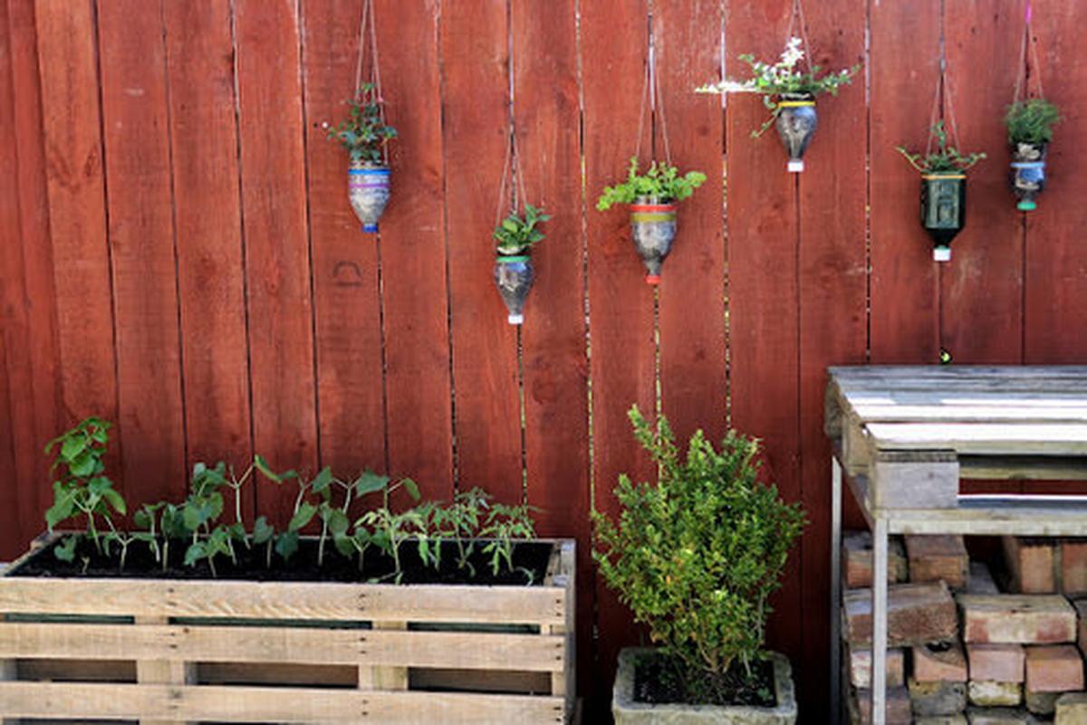 Hanging Bottle Planters