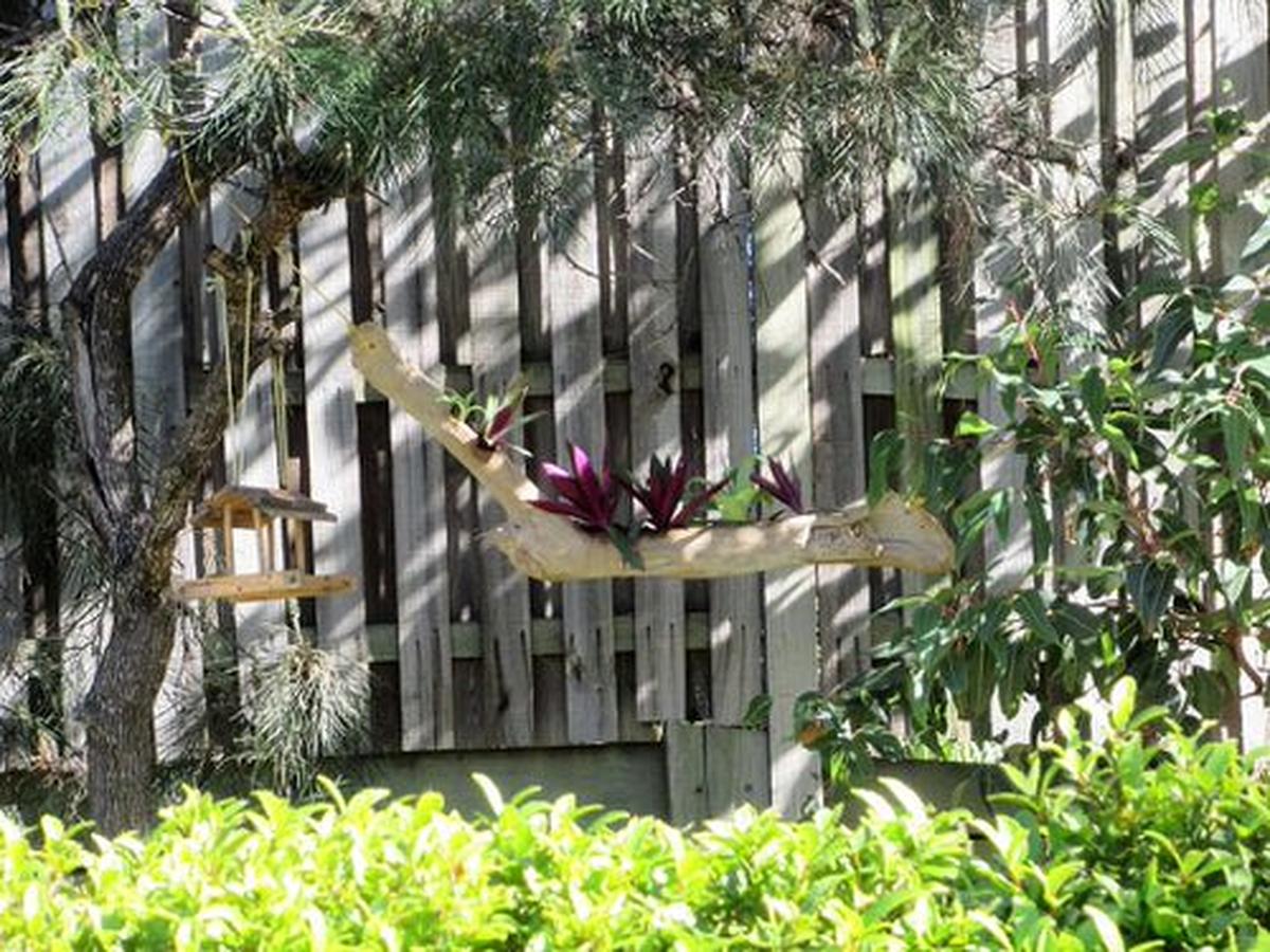 Driftwood as a Hanging Flower Box