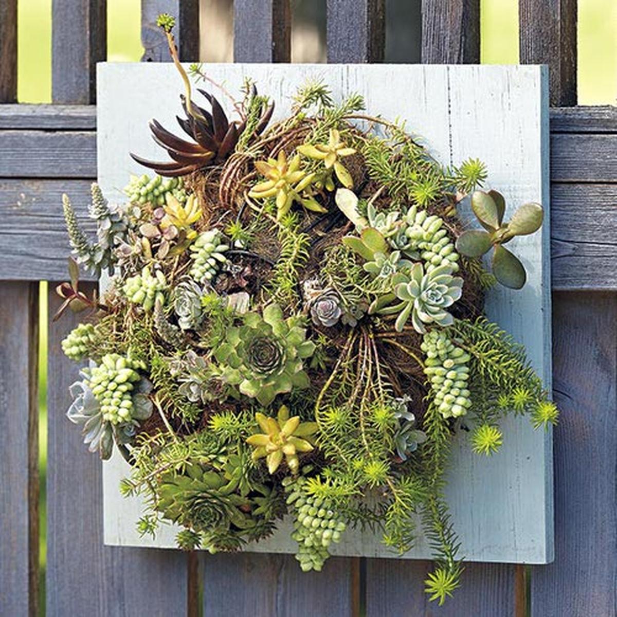 Succulent Fence Planter
