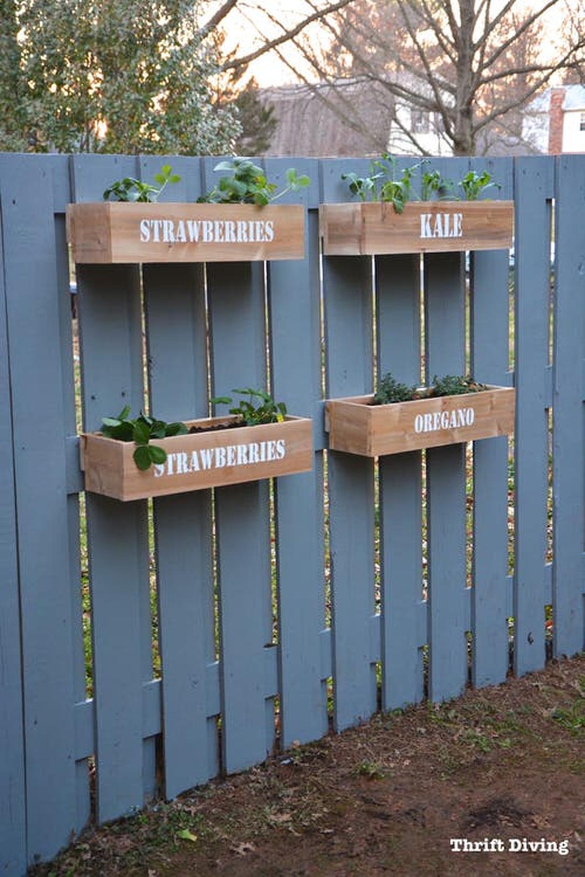 Hanging Fence Garden