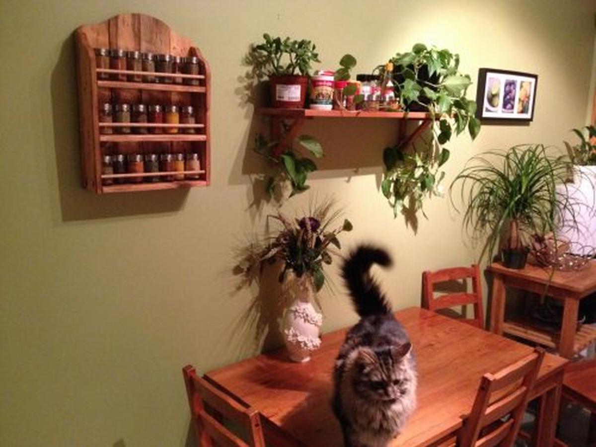 Wood Pallet Spice Rack