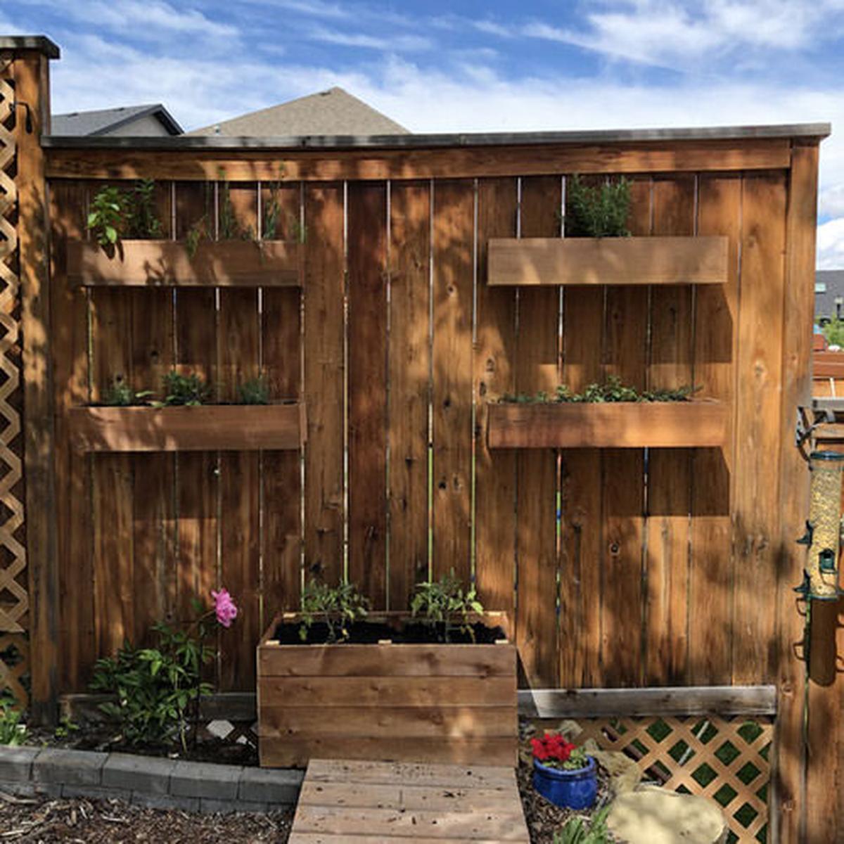 Fence Mounted Herb Planters