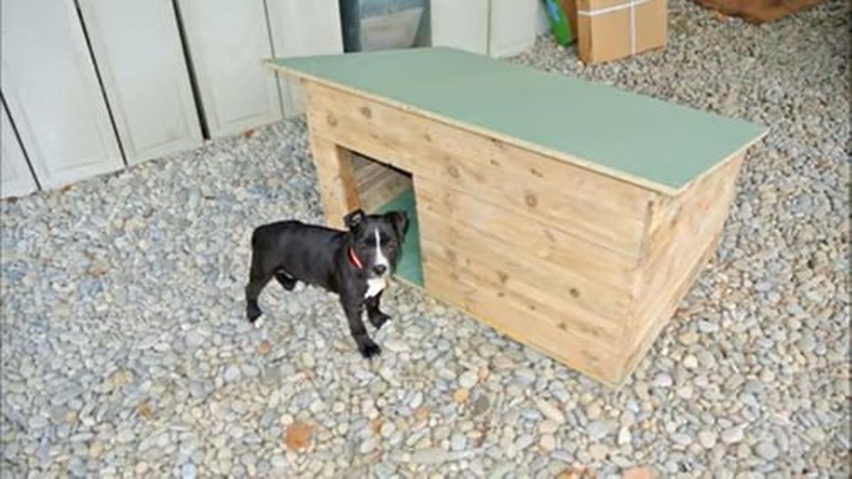 Doghouse with Pallets