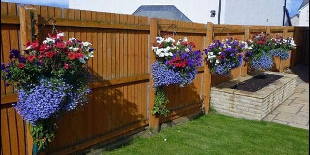 Hanging Flower Baskets
