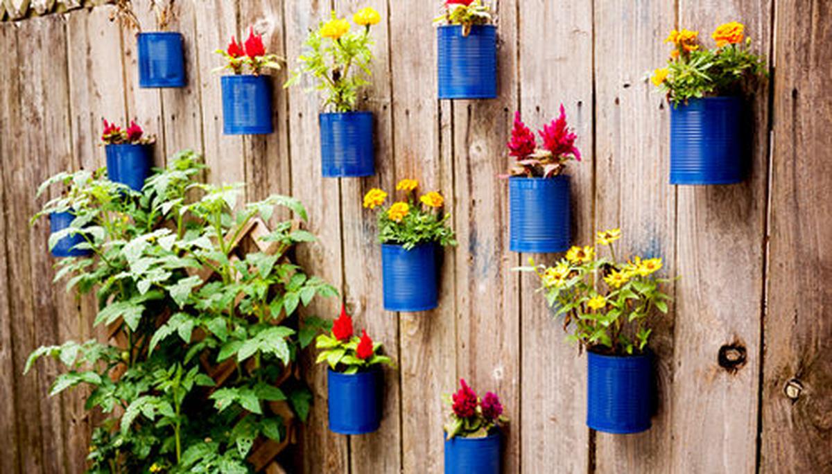 Tin Can Fence Garden