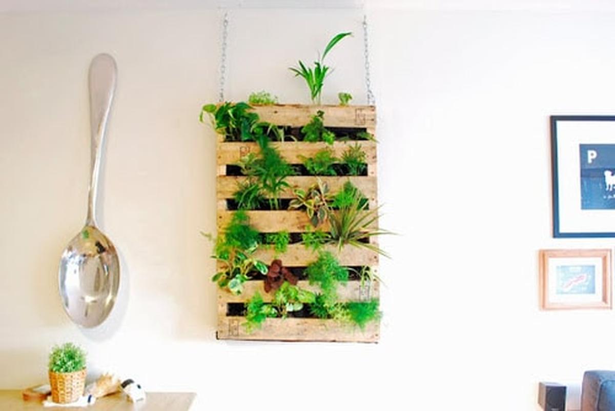 Pallet Living Wall